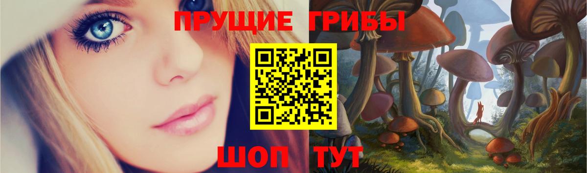 Псилоцибиновые грибы мицелий Боровичи